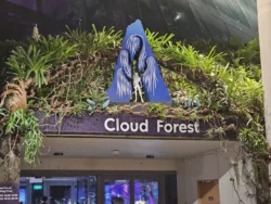 Avatar - The Experience Svg+xml,%3Csvg%20xmlns%3D%22http%3A%2F%2Fwww.w3