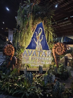 Avatar - The Experience Svg+xml,%3Csvg%20xmlns%3D%22http%3A%2F%2Fwww.w3