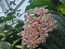 Avatar - The Experience Svg+xml,%3Csvg%20xmlns%3D%22http%3A%2F%2Fwww.w3