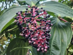 Avatar - The Experience Svg+xml,%3Csvg%20xmlns%3D%22http%3A%2F%2Fwww.w3