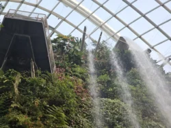 Avatar - The Experience Svg+xml,%3Csvg%20xmlns%3D%22http%3A%2F%2Fwww.w3