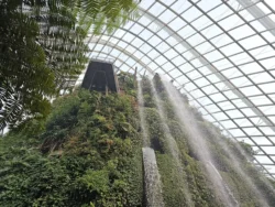 Avatar - The Experience Svg+xml,%3Csvg%20xmlns%3D%22http%3A%2F%2Fwww.w3