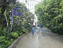 Avatar - The Experience Svg+xml,%3Csvg%20xmlns%3D%22http%3A%2F%2Fwww.w3