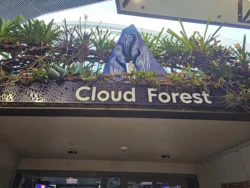 Avatar - The Experience Svg+xml,%3Csvg%20xmlns%3D%22http%3A%2F%2Fwww.w3