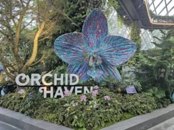 Avatar - The Experience Svg+xml,%3Csvg%20xmlns%3D%22http%3A%2F%2Fwww.w3