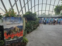 Avatar - The Experience Svg+xml,%3Csvg%20xmlns%3D%22http%3A%2F%2Fwww.w3