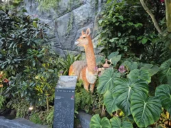 Avatar - The Experience Svg+xml,%3Csvg%20xmlns%3D%22http%3A%2F%2Fwww.w3