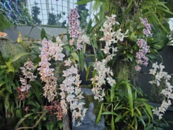 Avatar - The Experience Svg+xml,%3Csvg%20xmlns%3D%22http%3A%2F%2Fwww.w3