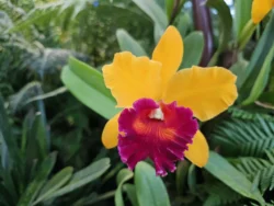 Avatar - The Experience Svg+xml,%3Csvg%20xmlns%3D%22http%3A%2F%2Fwww.w3