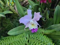 Avatar - The Experience Svg+xml,%3Csvg%20xmlns%3D%22http%3A%2F%2Fwww.w3