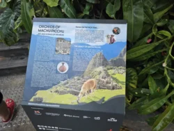 Avatar - The Experience Svg+xml,%3Csvg%20xmlns%3D%22http%3A%2F%2Fwww.w3