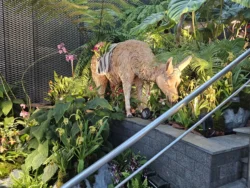 Avatar - The Experience Svg+xml,%3Csvg%20xmlns%3D%22http%3A%2F%2Fwww.w3