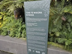 Avatar - The Experience Svg+xml,%3Csvg%20xmlns%3D%22http%3A%2F%2Fwww.w3