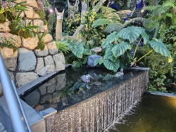 Avatar - The Experience Svg+xml,%3Csvg%20xmlns%3D%22http%3A%2F%2Fwww.w3