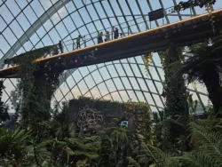 Avatar - The Experience Svg+xml,%3Csvg%20xmlns%3D%22http%3A%2F%2Fwww.w3