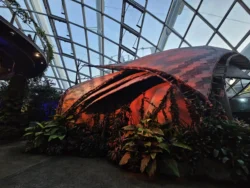 Avatar - The Experience Svg+xml,%3Csvg%20xmlns%3D%22http%3A%2F%2Fwww.w3