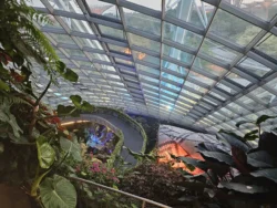 Avatar - The Experience Svg+xml,%3Csvg%20xmlns%3D%22http%3A%2F%2Fwww.w3