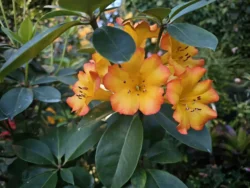 Avatar - The Experience Svg+xml,%3Csvg%20xmlns%3D%22http%3A%2F%2Fwww.w3