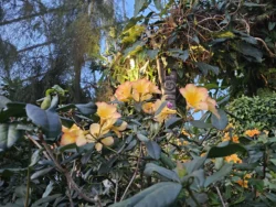 Avatar - The Experience Svg+xml,%3Csvg%20xmlns%3D%22http%3A%2F%2Fwww.w3