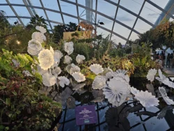 Avatar - The Experience Svg+xml,%3Csvg%20xmlns%3D%22http%3A%2F%2Fwww.w3