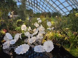 Avatar - The Experience Svg+xml,%3Csvg%20xmlns%3D%22http%3A%2F%2Fwww.w3