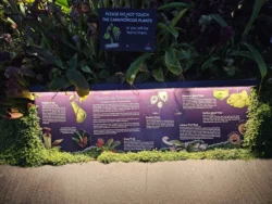 Avatar - The Experience Svg+xml,%3Csvg%20xmlns%3D%22http%3A%2F%2Fwww.w3