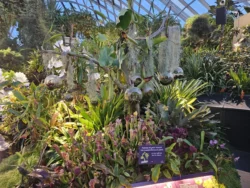 Avatar - The Experience Svg+xml,%3Csvg%20xmlns%3D%22http%3A%2F%2Fwww.w3