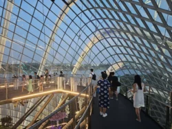 Avatar - The Experience Svg+xml,%3Csvg%20xmlns%3D%22http%3A%2F%2Fwww.w3