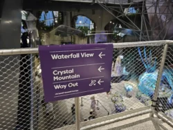 Avatar - The Experience Svg+xml,%3Csvg%20xmlns%3D%22http%3A%2F%2Fwww.w3