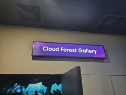 Avatar - The Experience Svg+xml,%3Csvg%20xmlns%3D%22http%3A%2F%2Fwww.w3