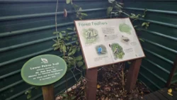 Lower Peirce Reservoir Svg+xml,%3Csvg%20xmlns%3D%22http%3A%2F%2Fwww.w3