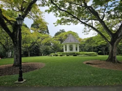 Singapore Botanic Gardens Svg+xml,%3Csvg%20xmlns%3D%22http%3A%2F%2Fwww.w3