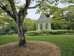 Singapore Botanic Gardens Svg+xml,%3Csvg%20xmlns%3D%22http%3A%2F%2Fwww.w3