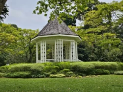 Singapore Botanic Gardens Svg+xml,%3Csvg%20xmlns%3D%22http%3A%2F%2Fwww.w3
