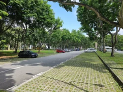 Bedok Reservoir Park Svg+xml,%3Csvg%20xmlns%3D%22http%3A%2F%2Fwww.w3