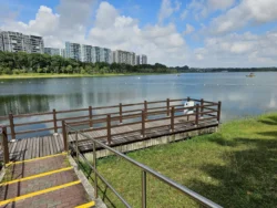 Bedok Reservoir Park Svg+xml,%3Csvg%20xmlns%3D%22http%3A%2F%2Fwww.w3
