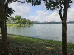 Bedok Reservoir Park Svg+xml,%3Csvg%20xmlns%3D%22http%3A%2F%2Fwww.w3