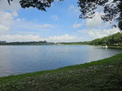 Bedok Reservoir Park Svg+xml,%3Csvg%20xmlns%3D%22http%3A%2F%2Fwww.w3