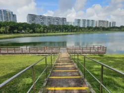 Bedok Reservoir Park Svg+xml,%3Csvg%20xmlns%3D%22http%3A%2F%2Fwww.w3