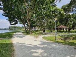 Bedok Reservoir Park Svg+xml,%3Csvg%20xmlns%3D%22http%3A%2F%2Fwww.w3