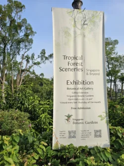 Singapore Botanic Gardens Svg+xml,%3Csvg%20xmlns%3D%22http%3A%2F%2Fwww.w3