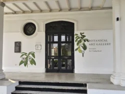 Singapore Botanic Gardens Svg+xml,%3Csvg%20xmlns%3D%22http%3A%2F%2Fwww.w3