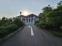 Singapore Botanic Gardens Svg+xml,%3Csvg%20xmlns%3D%22http%3A%2F%2Fwww.w3