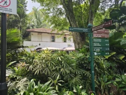 Singapore Botanic Gardens Svg+xml,%3Csvg%20xmlns%3D%22http%3A%2F%2Fwww.w3