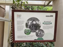 Singapore Botanic Gardens Svg+xml,%3Csvg%20xmlns%3D%22http%3A%2F%2Fwww.w3