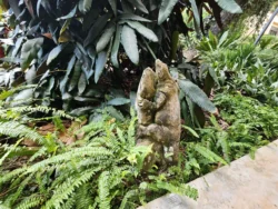 Singapore Botanic Gardens Svg+xml,%3Csvg%20xmlns%3D%22http%3A%2F%2Fwww.w3