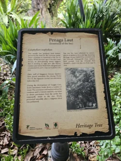 Singapore Botanic Gardens Svg+xml,%3Csvg%20xmlns%3D%22http%3A%2F%2Fwww.w3