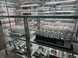 Singapore Botanic Gardens Svg+xml,%3Csvg%20xmlns%3D%22http%3A%2F%2Fwww.w3