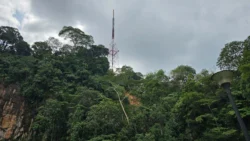 Bukit Batok Nature Park Svg+xml,%3Csvg%20xmlns%3D%22http%3A%2F%2Fwww.w3