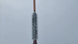 Bukit Batok Nature Park Svg+xml,%3Csvg%20xmlns%3D%22http%3A%2F%2Fwww.w3